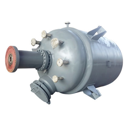 Tête de réacteur industriel Couverture de conduit de réacteur en émail sur mesure SGS